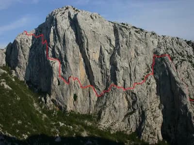 Prečenje Anića kuka