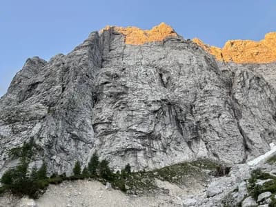 Cozzolinova zajeda i Zmaj