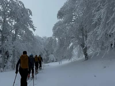 Najlepši turni smuki Hrvatskoga zagorja
