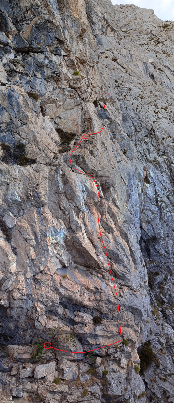 Pepermint - ulazna dužina