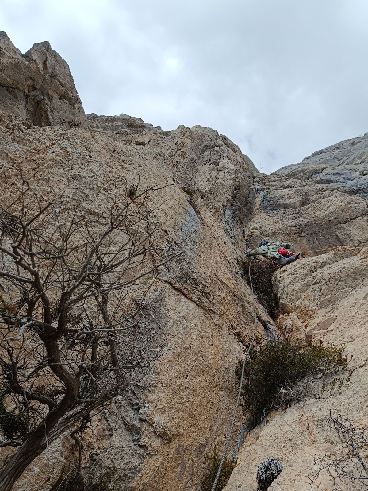 Pepermint - ulazni dio pete dužine