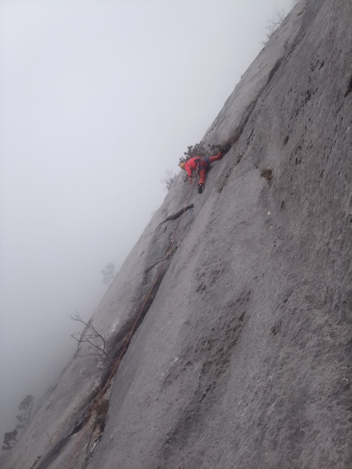 Solja - dužina prije detaljne