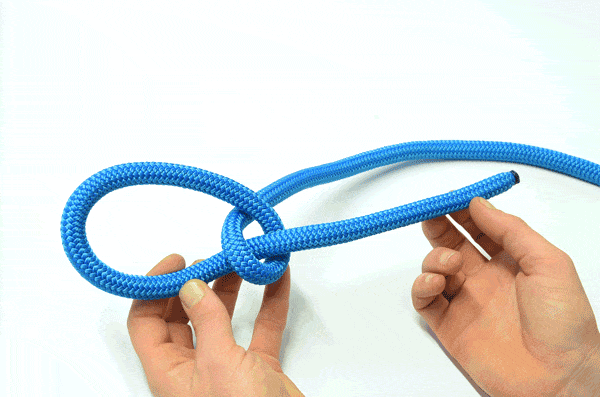 Bulin čvor animacija